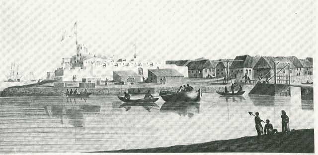 elmina1806