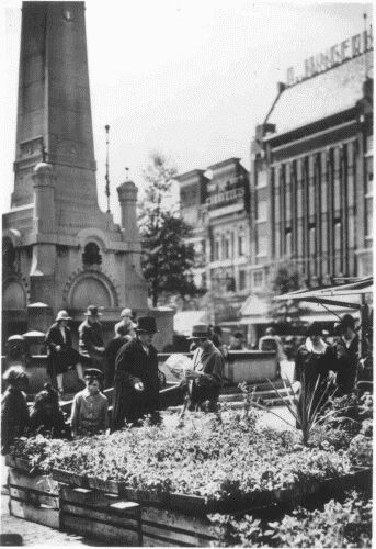 charlescoolsingelbloemenmarkt