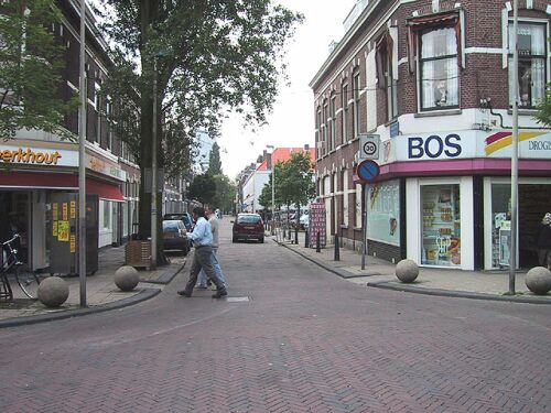 ronoordburgmeesterroos