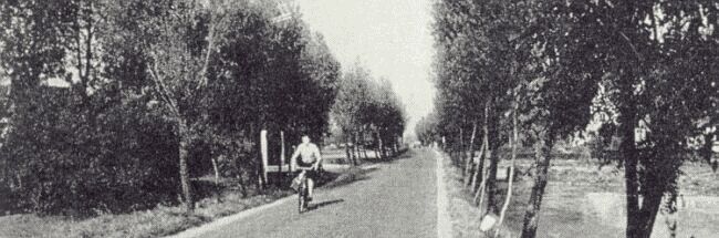 gravenweg 1950