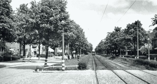 lijn3groenezoom