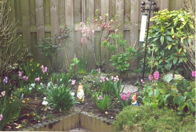 tuin2002