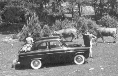 fordanglia